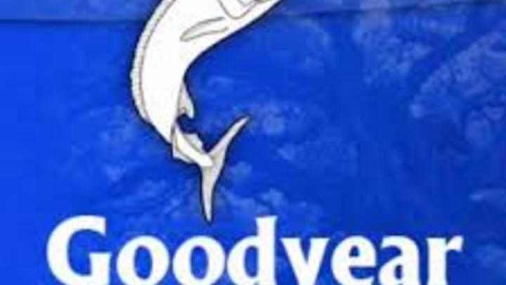 Goodyear School - Make A Differrence logo image
