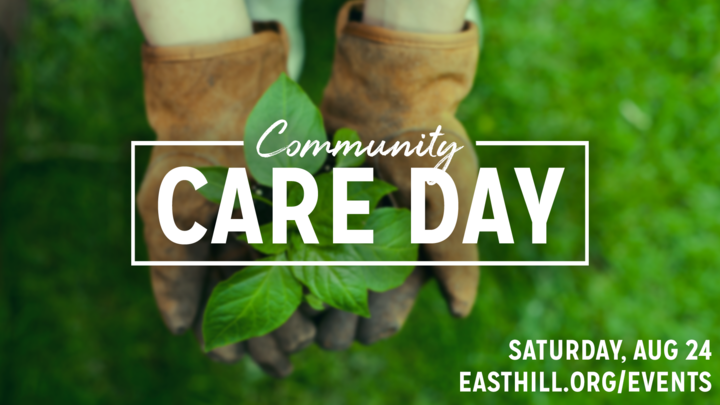 Community Care Day logo image