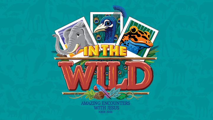 VBS 2019: In The Wild logo image