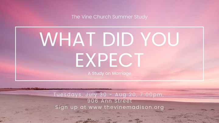 What Did You Expect: Redeeming the Realities of Marriage logo image