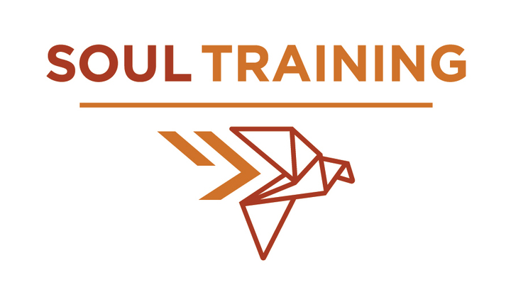 Soultraining: Transforming Our Habits - Learning to Live on Purpose logo image