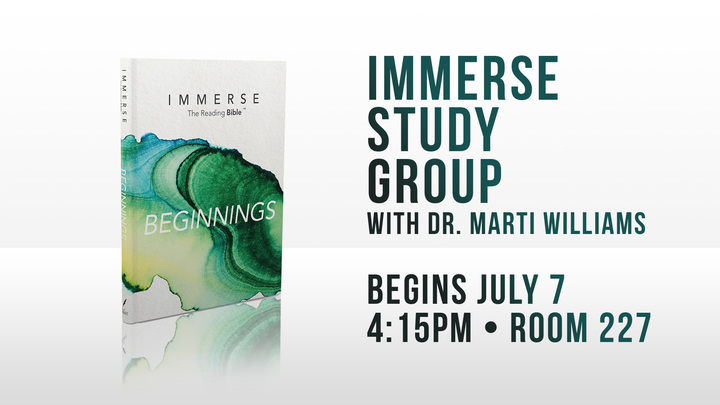 Immerse Study Group logo image
