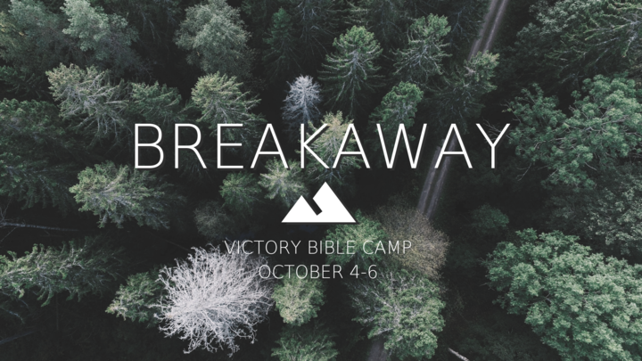 2019 Breakaway logo image
