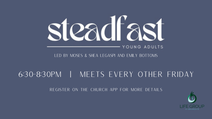 Steadfast logo