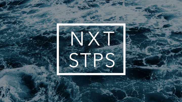 Next Steps logo
