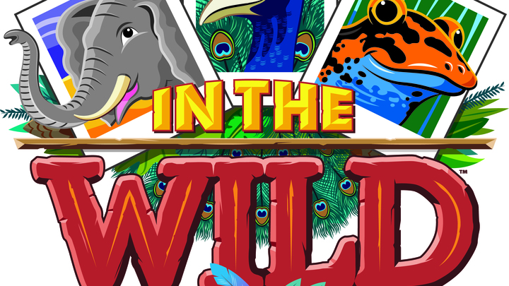 V.B.S "In the Wild" 2019 logo image