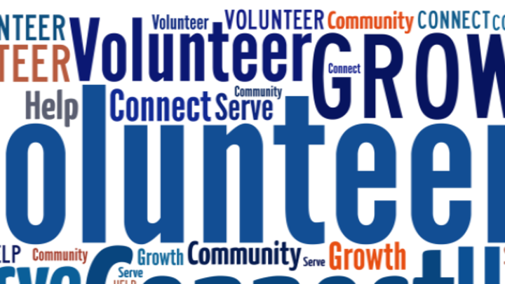 VOLUNTEER TRAINING logo image