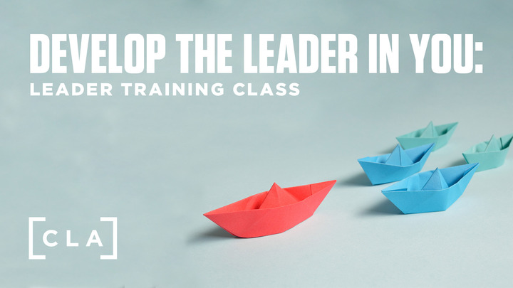 Develop the Leader in You logo image