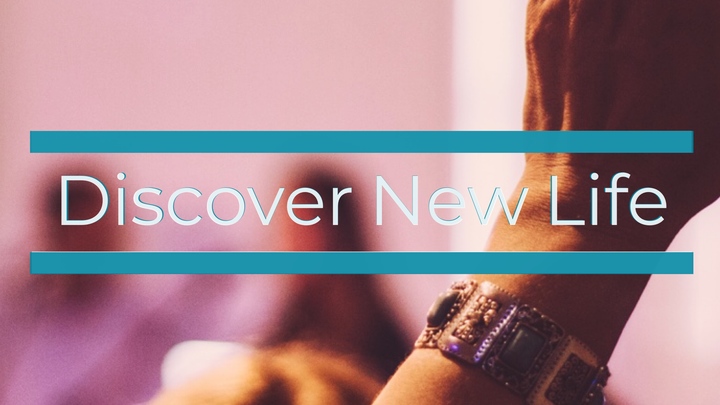 Discover New Life logo image