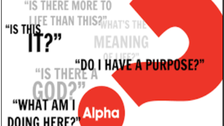 Alpha logo image