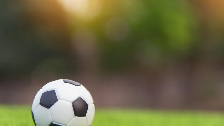 Fall 2019 Co-ed Soccer (Adult) logo image