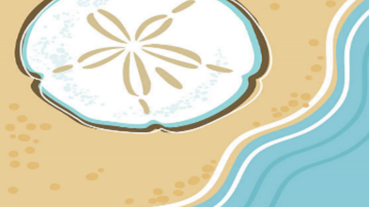 Sand Dollar Christian Preschool 2025-26 logo