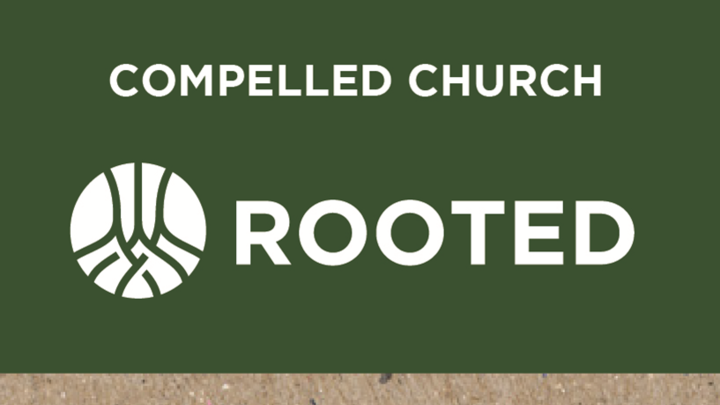 Rooted logo image