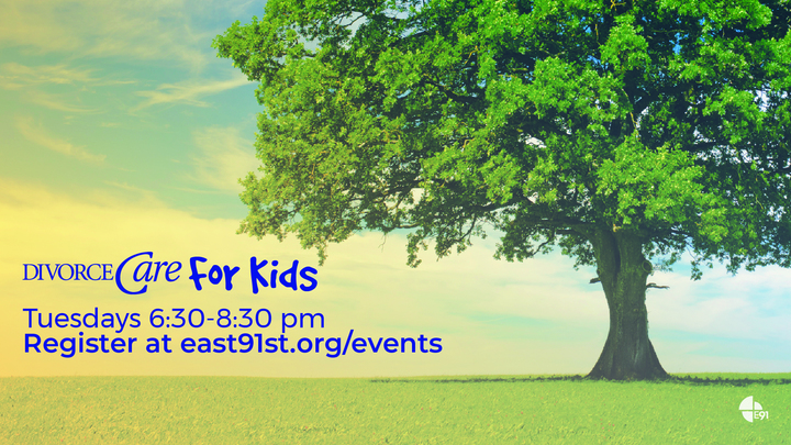 Divorce Care for Kids logo image