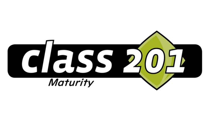 CLASS 201 - DISCOVERING SPIRITUAL MATURITY logo image