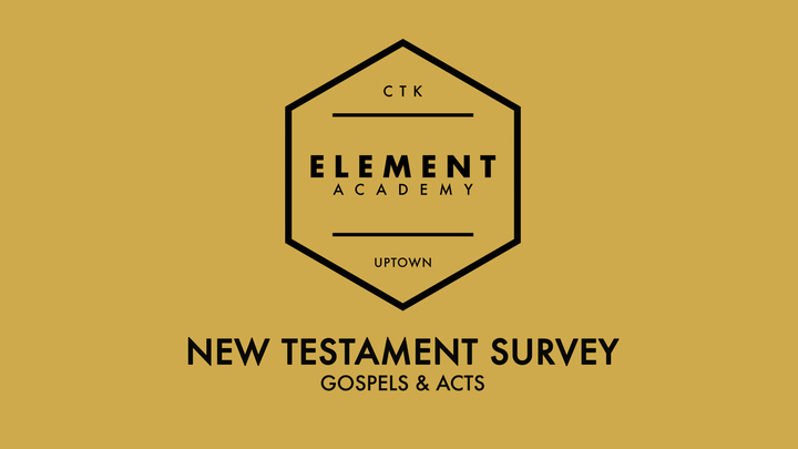 New Testament Survey (Gospels & Acts) logo image