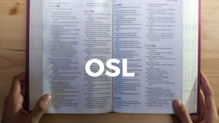 OSL Level 1 - Sundays, 09/15 - 10/13/19 (4:00 - 6:30 pm) logo image