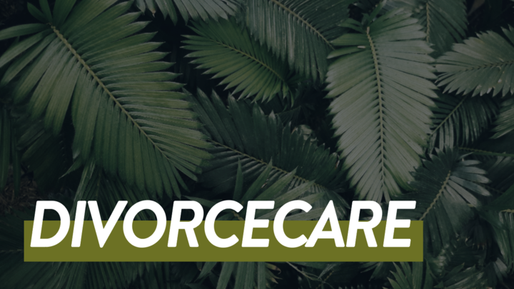 DivorceCare logo image