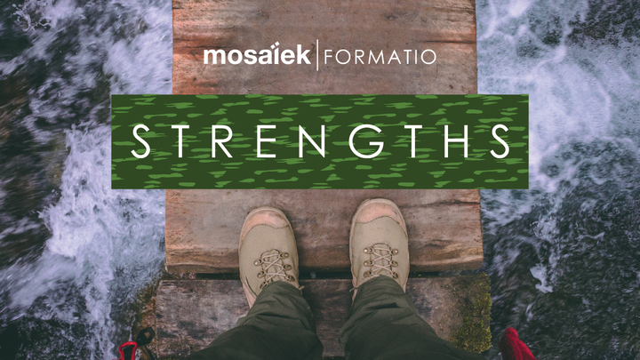 Formatio - Strengths Kursus saam met Wilma Geyser logo image