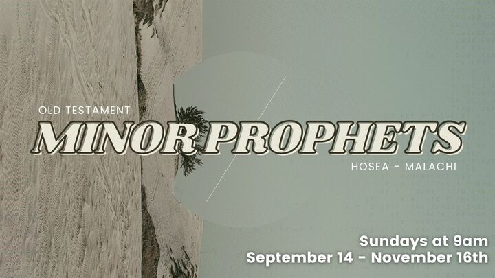 Old Testament: Minor Prophets logo