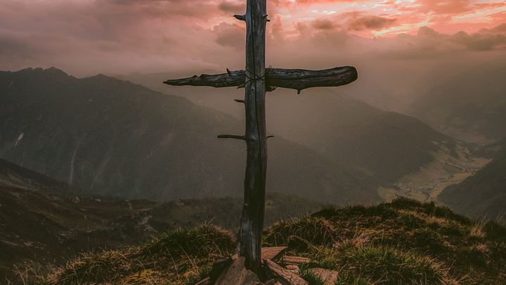 The Way of the Warrior logo image