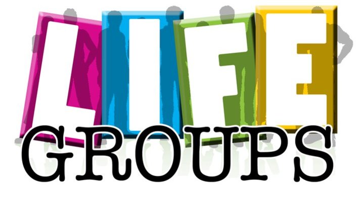 Life Group Mixer logo image