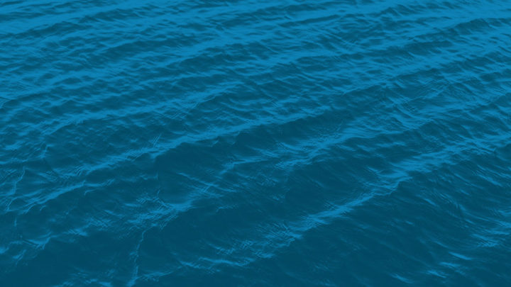 Baptism - Weeki Wachee Springs logo image