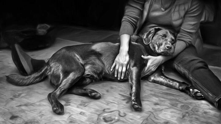 "Surrender to Love" Book Study logo