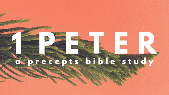 Precepts Women's Bible Study logo image