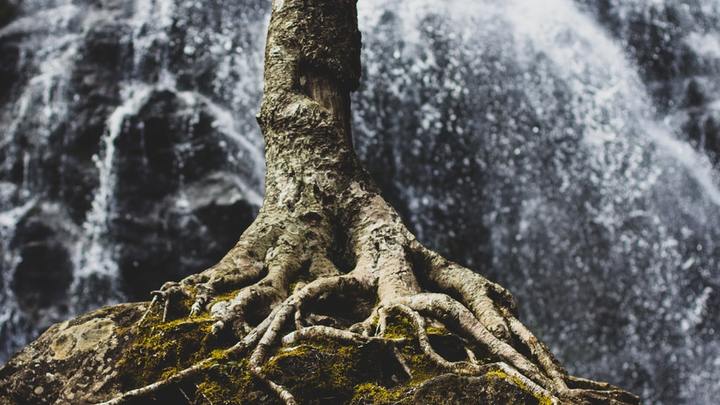 Grounded in the Faith - A Systematic Study of the Doctrines of our Faith logo image