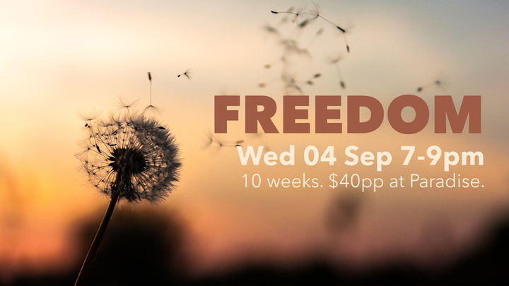Freedom Course logo image