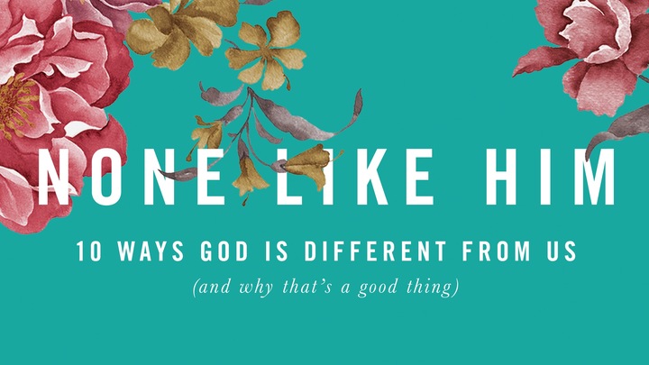 None Like Him - Women's Connect Group logo image
