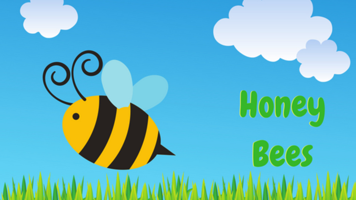 HoneyBees logo image
