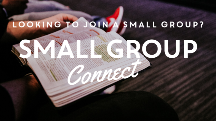 Small Group Connect logo image