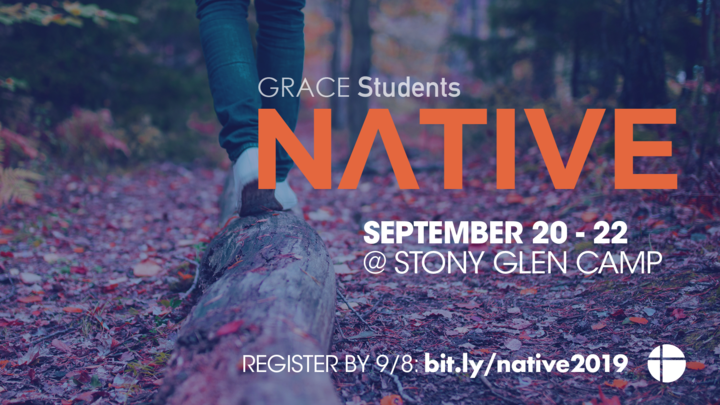 NATIVE logo image