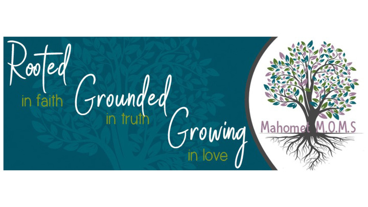 2019-2020 MOMS logo image