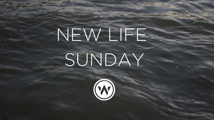 New Life Service | Baby Dedications | 11am Service logo image