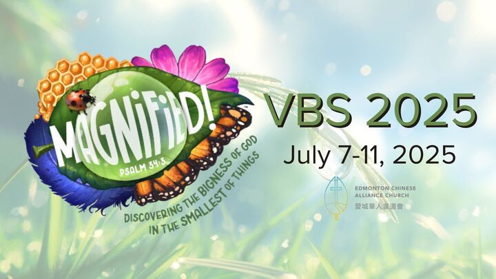 Magnified VBS 2025 logo