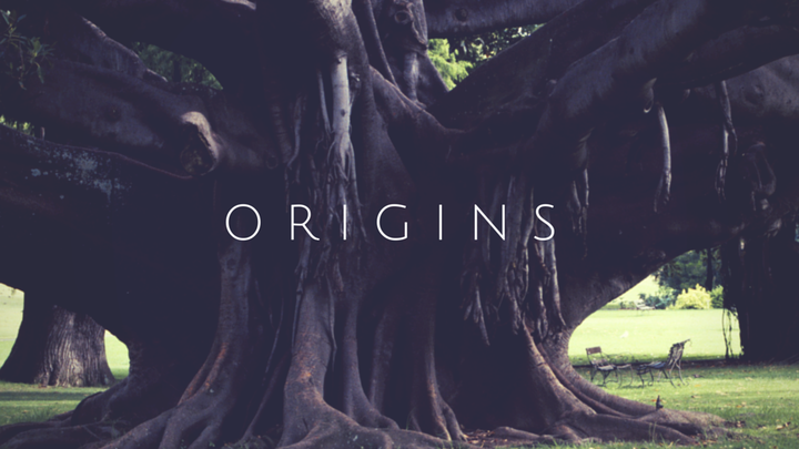 Origins September 2019 logo image