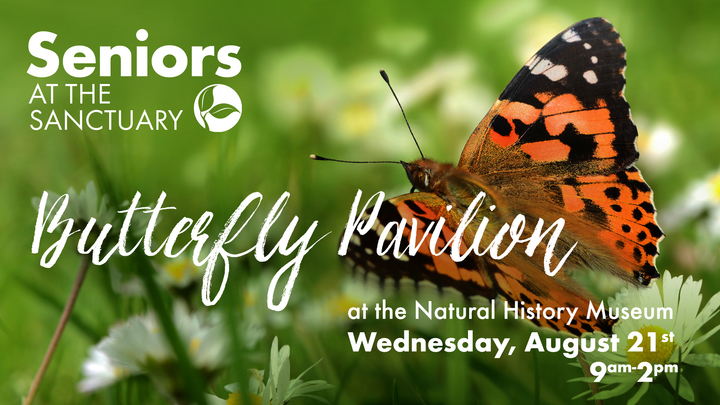 Seniors | Butterfly Pavilion & Natural History Museum logo image