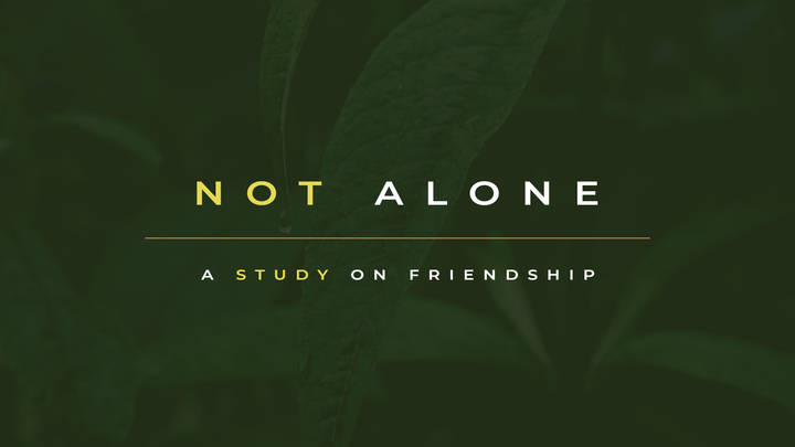 Not Alone - A Study on Friendship (Rialto Campus) logo image