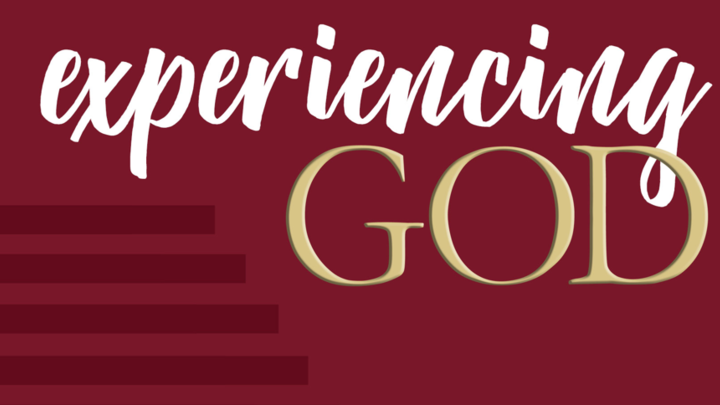 Ladies Bible Study logo image