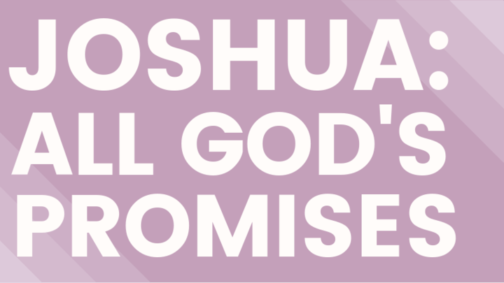 Women's Evening Study - Joshua logo image