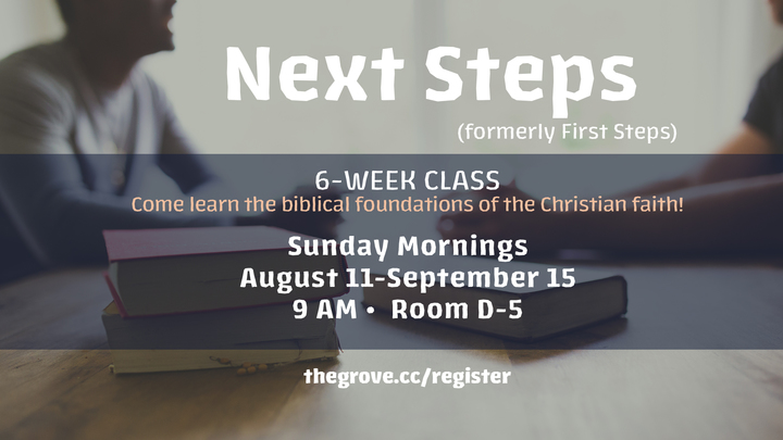 Next Steps (formerly First Steps) logo image