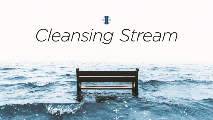 Deep Creek Cleansing Stream Fall 2019 logo image