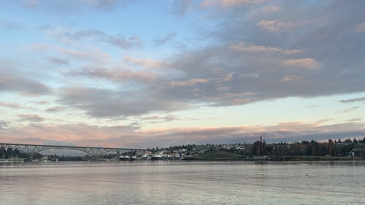 Weekly Plunge Chat! logo