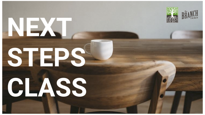 Next Steps Class logo image