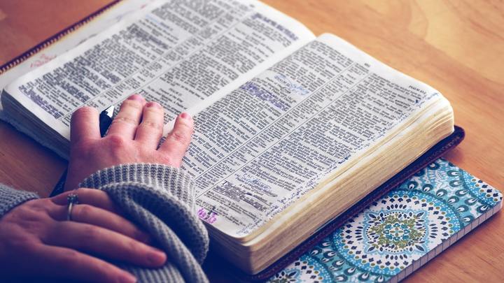 WE| Institute: Bible Study Methods logo image