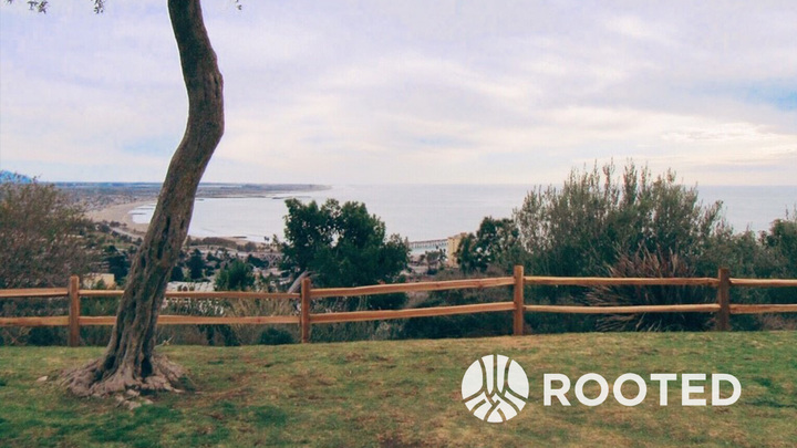 Rooted, 10-week Discipleship Program (fund 513) logo image