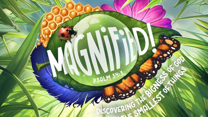 Vacation Bible School logo